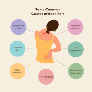 causes of lower back pain